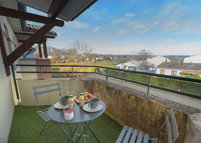 Magnifique Appartement T2 Renove Aux Vendanges Gaillac