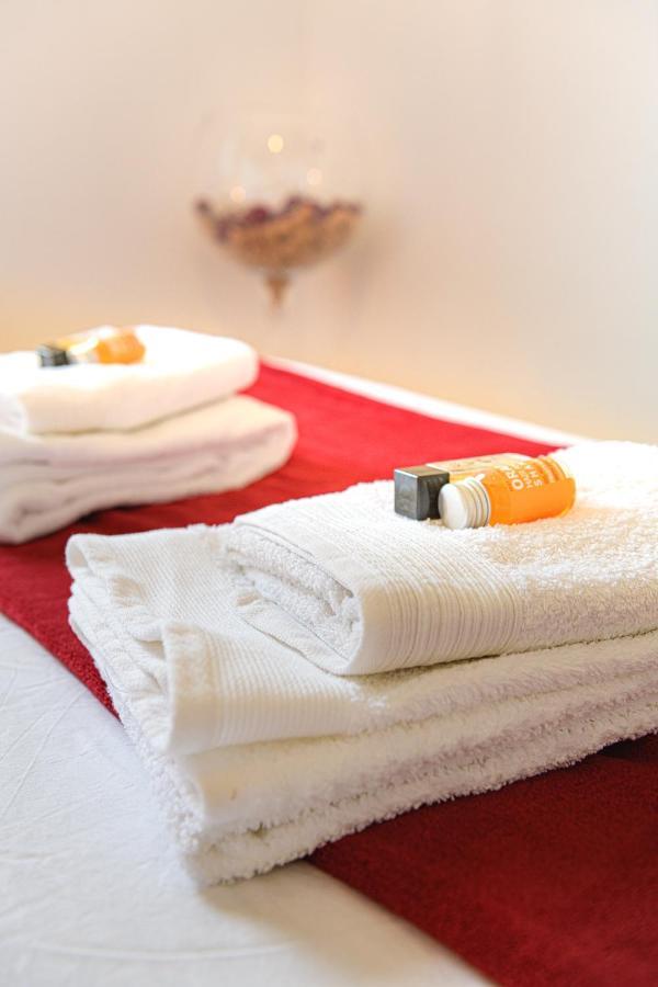 Magnifique T2 Renove Aux Vendanges Apartment Gaillac