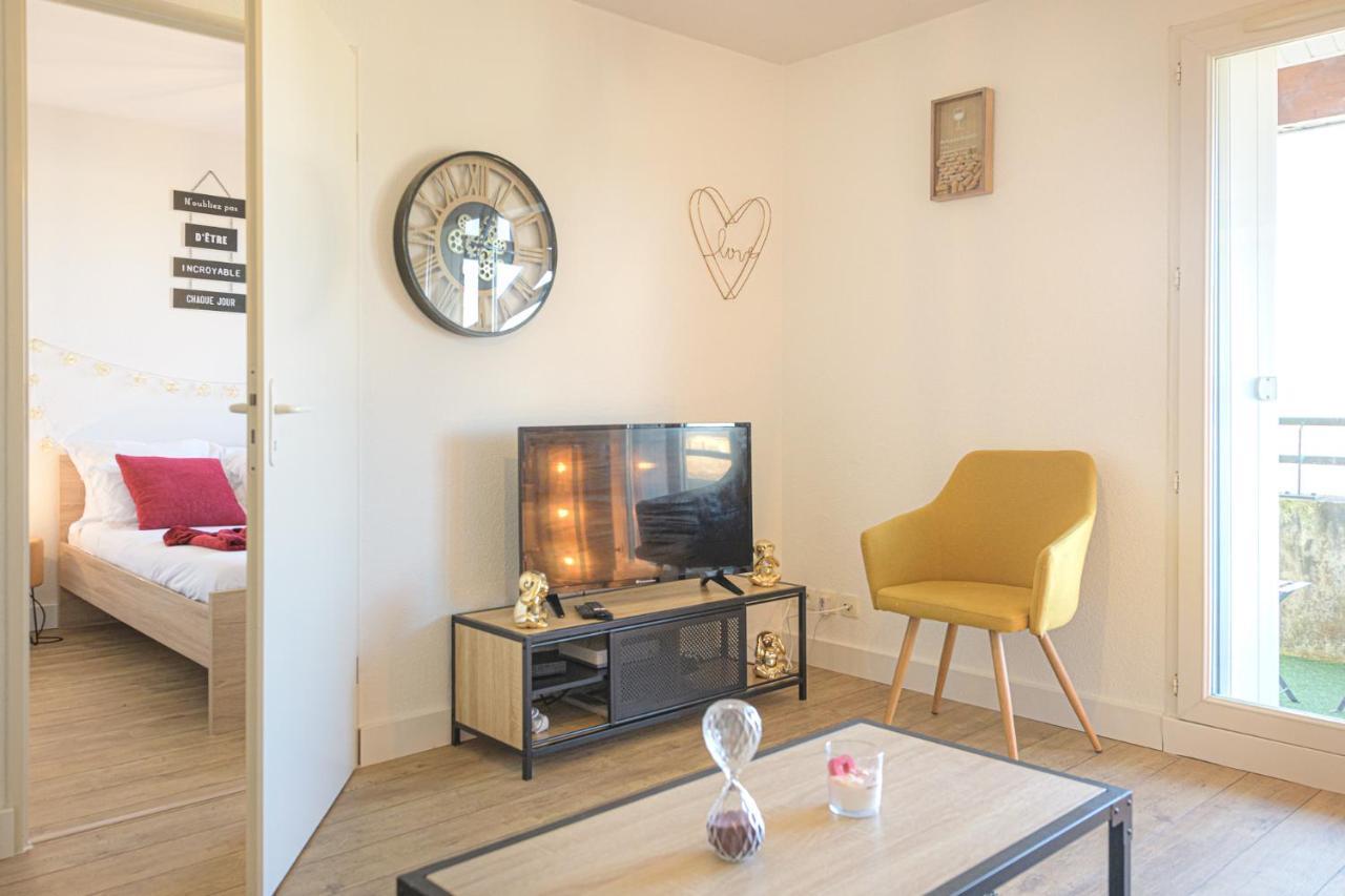 Magnifique T2 Renove Aux Vendanges Gaillac